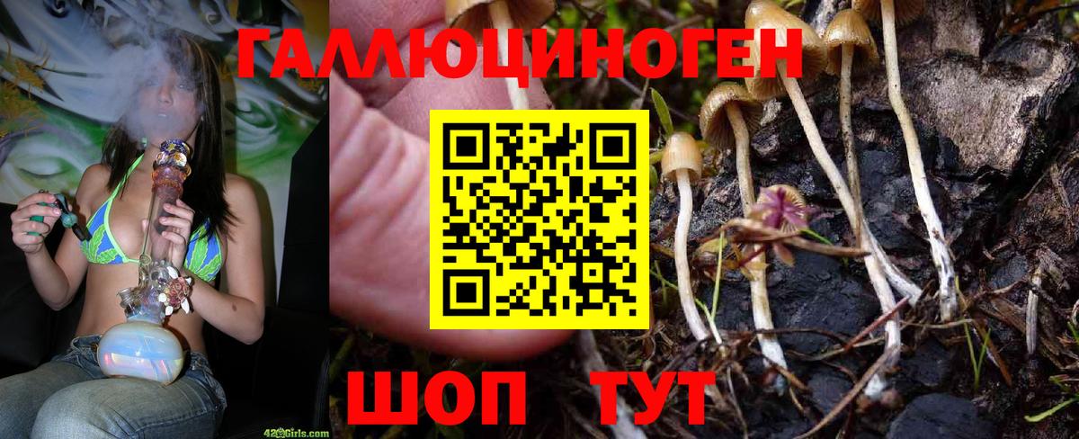 Галлюциногенные грибы Psilocybine cubensis  Вход с VPN  Псилоцибиновые грибы Cubensis  Нововоронеж 