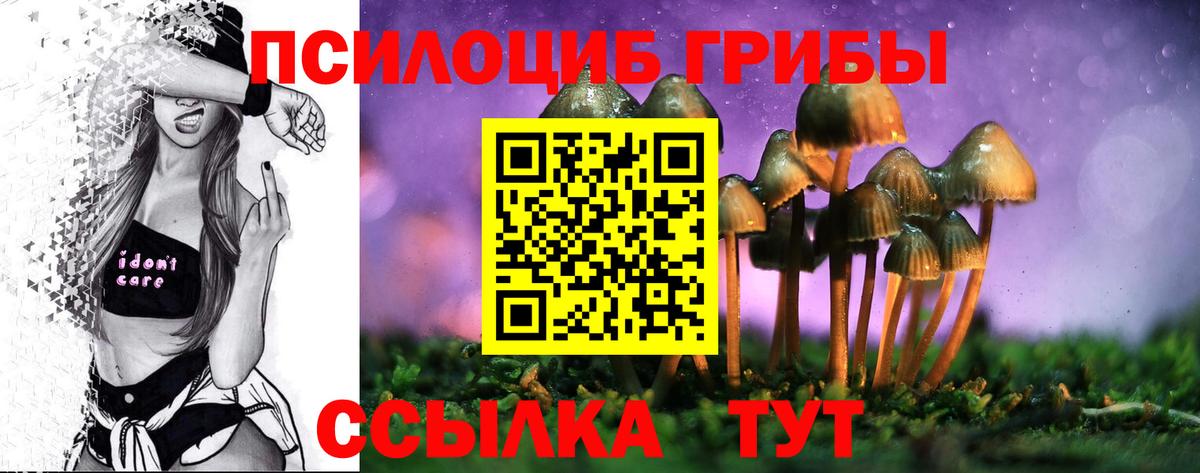 Псилоцибиновые грибы GOLDEN TEACHER Нововоронеж